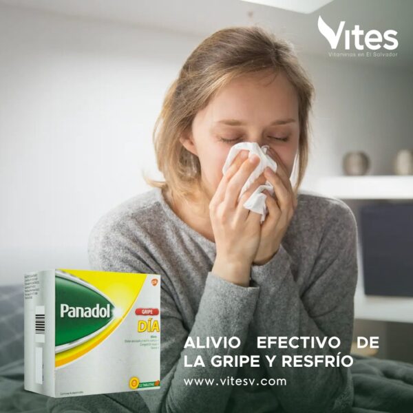 Panadol Gripe Dia